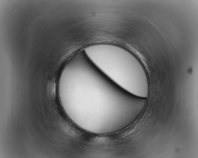 X0000100360067200806060832