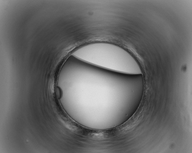 X0000100360068200806060832