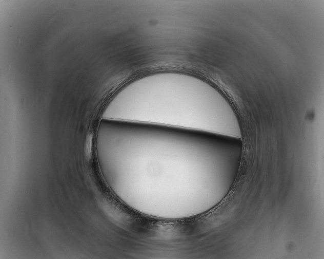 X0000100360070200806060832