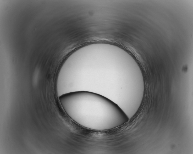X0000100360071200806060832
