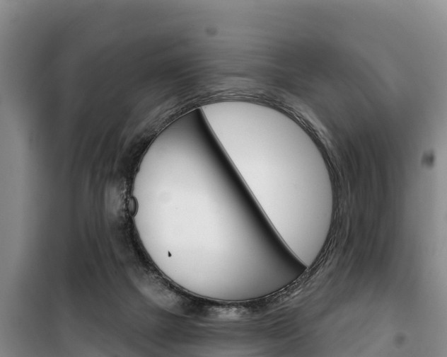 X0000100360073200806060832