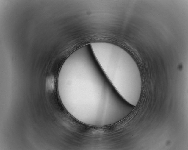 X0000100360075200806060832