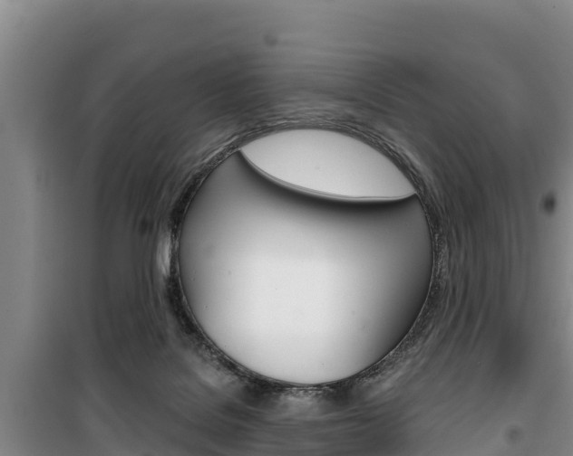 X0000100360076200806060832