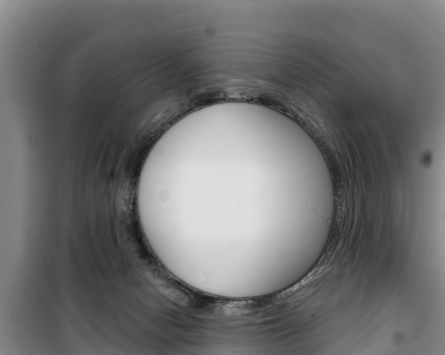 X0000100360078200806060832