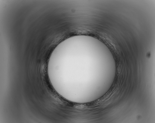 X0000100360079200806060832