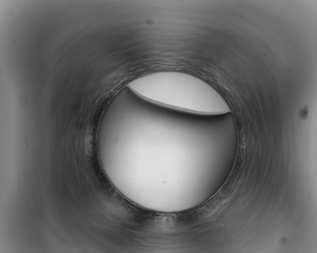 X0000100360080200806060832