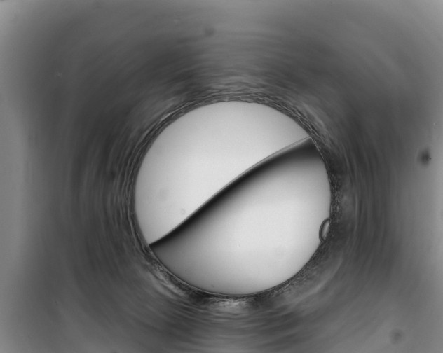 X0000100360081200806060832