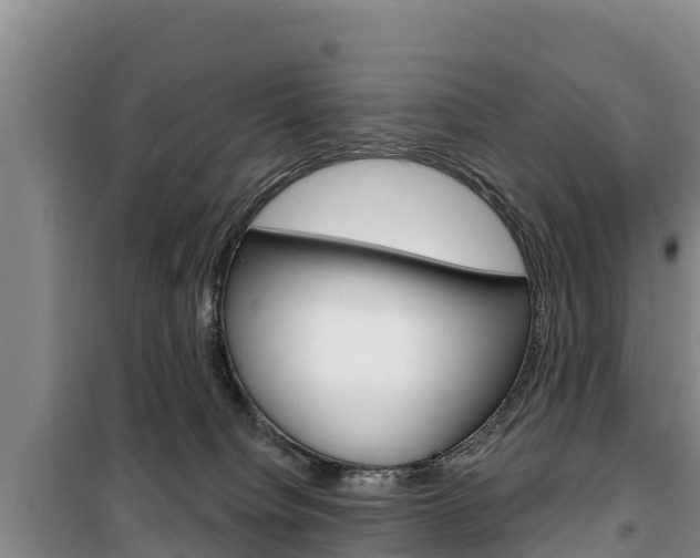 X0000100360084200806060832