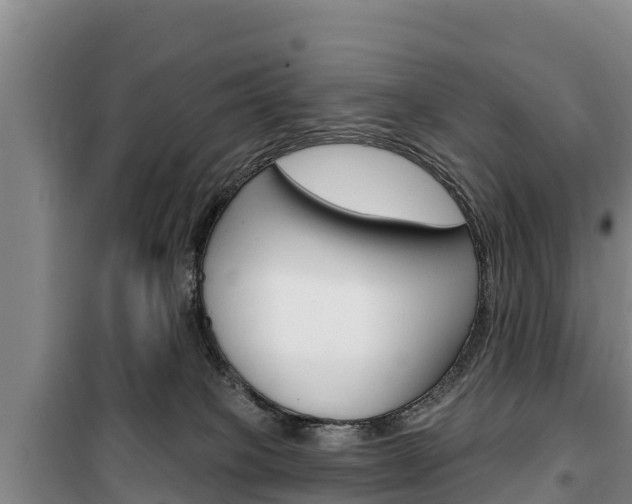 X0000100360085200806060832