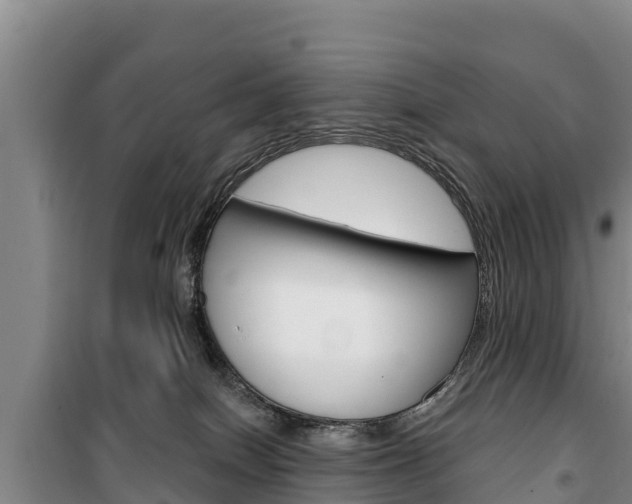 X0000100360086200806060832