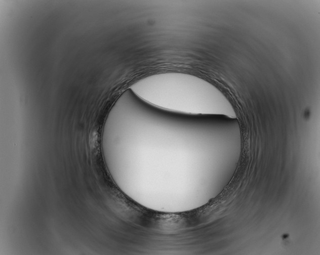 X0000100360087200806060832