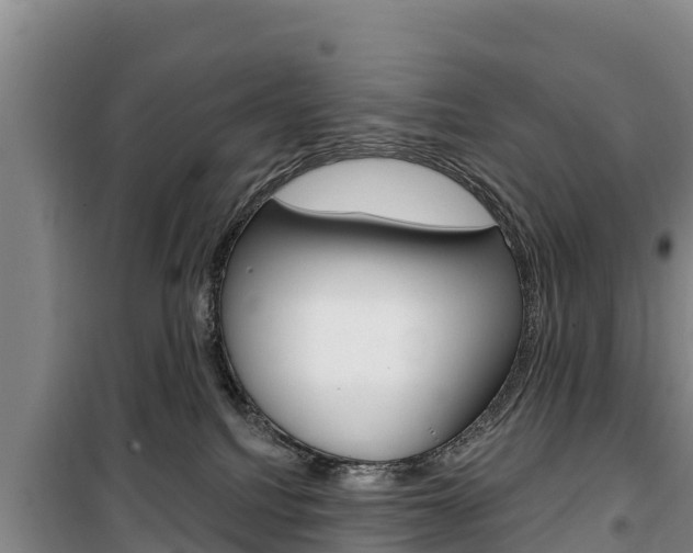 X0000100360088200806060832