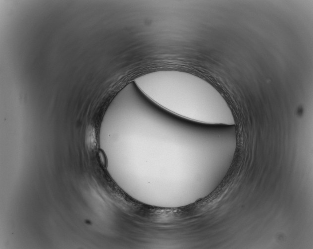 X0000100360089200806060832