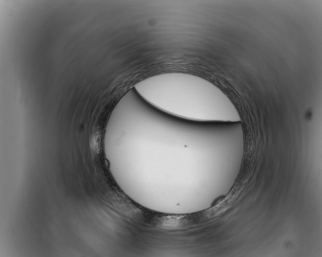 X0000100360090200806060832