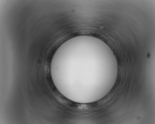 X0000100360091200806060832