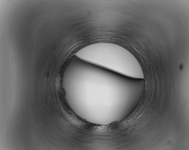 X0000100360092200806060832