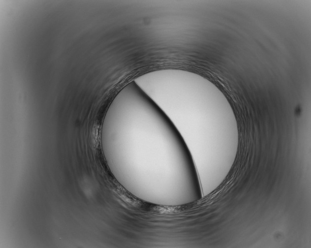 X0000100360093200806060833