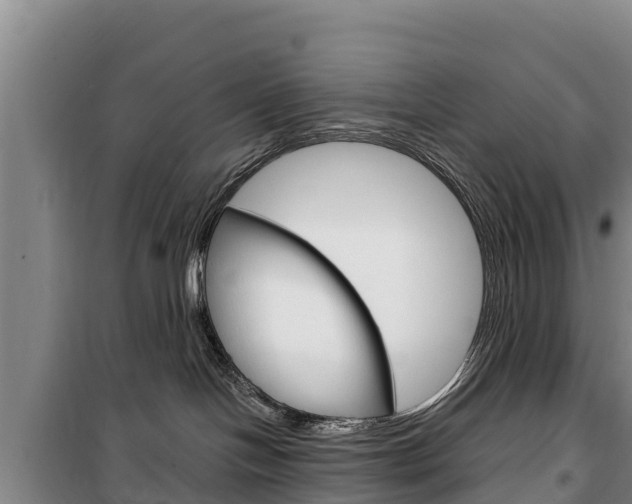 X0000100360094200806060833