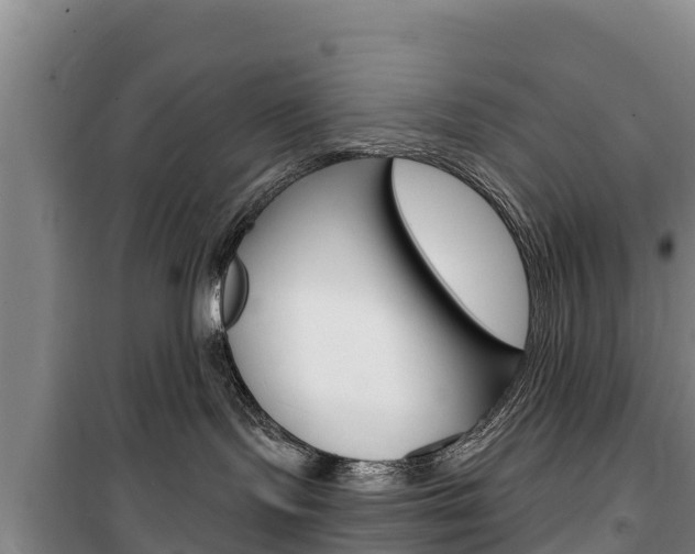 X0000100360095200806060833