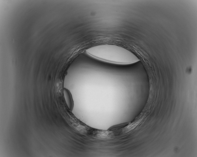 X0000100360096200806060833