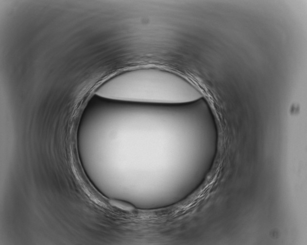 X0000100360097200806060832