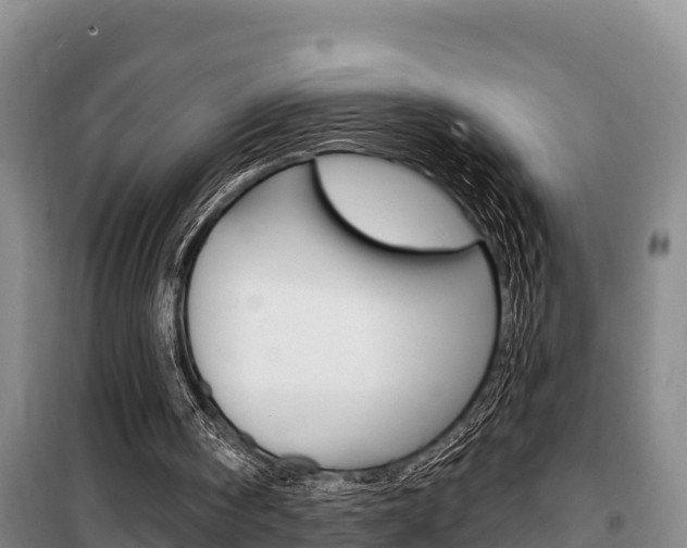X0000100360098200806060832