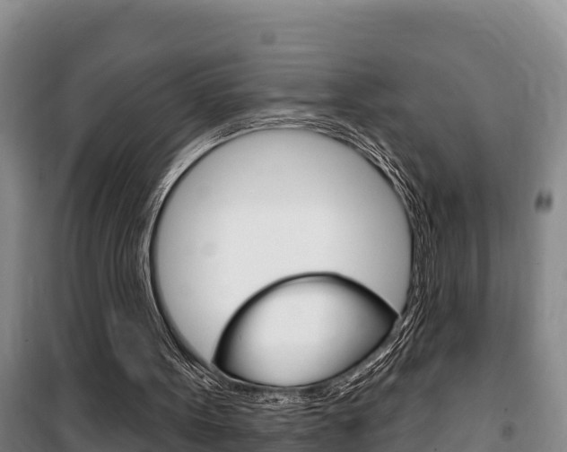 X0000100360099200806060832