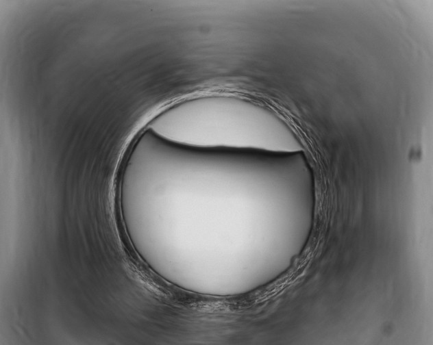X0000100360100200806060832