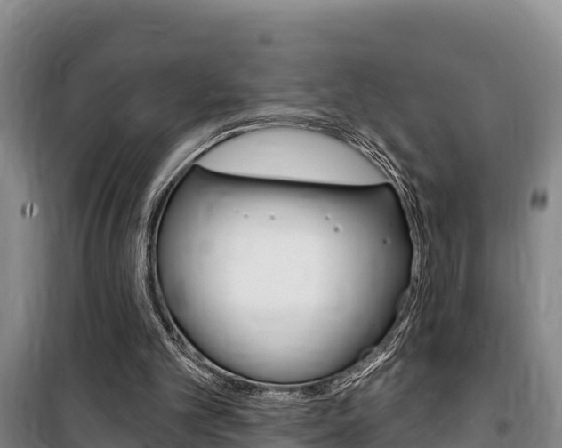 X0000100360101200806060832