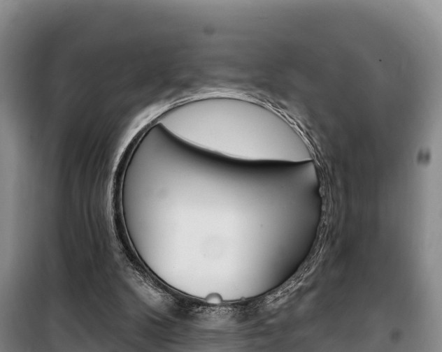 X0000100360104200806060832
