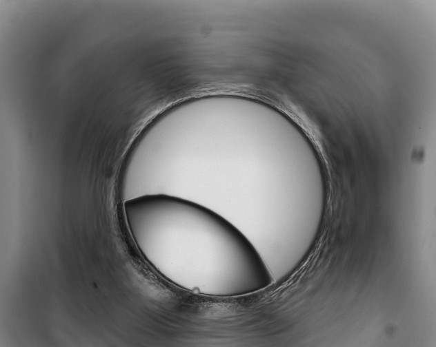 X0000100360107200806060832
