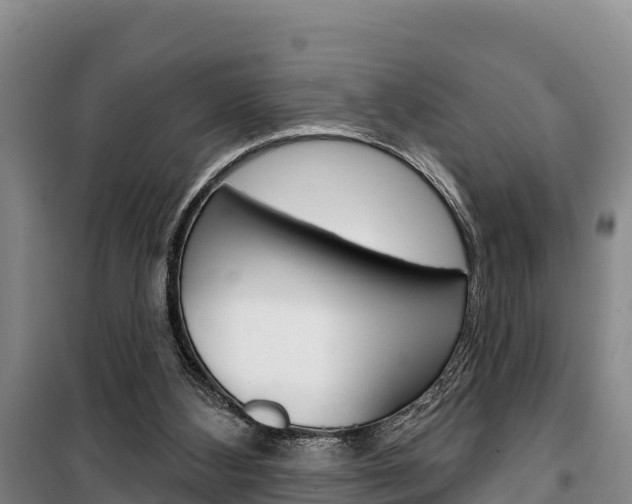 X0000100360108200806060832