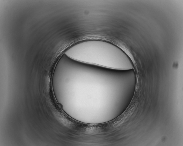 X0000100360109200806060832