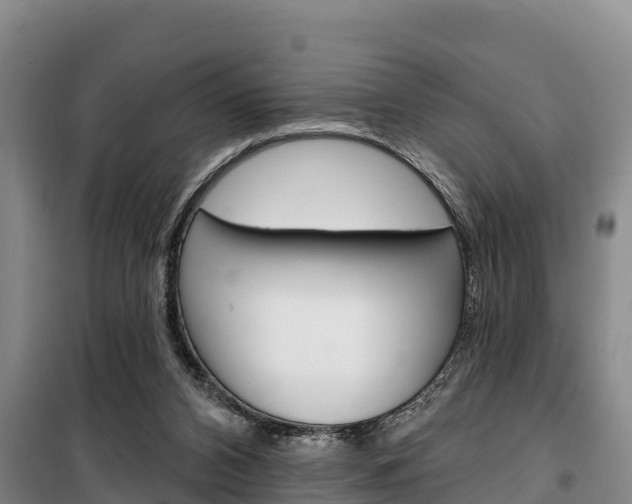 X0000100360112200806060832