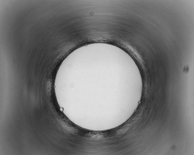 X0000100360113200806060832