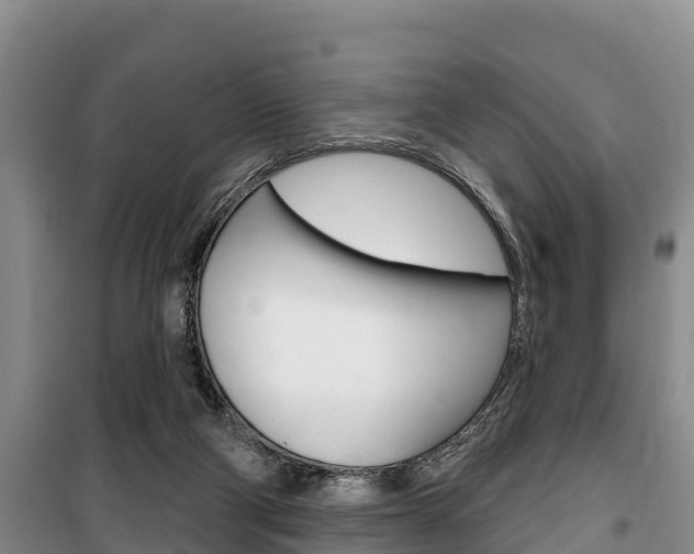 X0000100360114200806060832