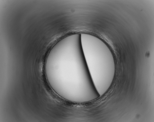 X0000100360115200806060832