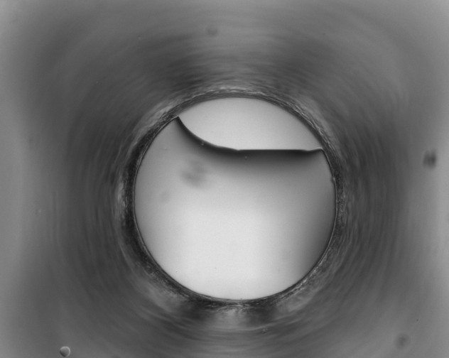 X0000100360116200806060832