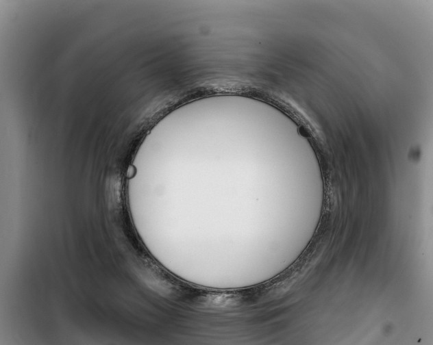 X0000100360117200806060832
