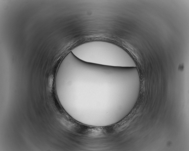 X0000100360118200806060832