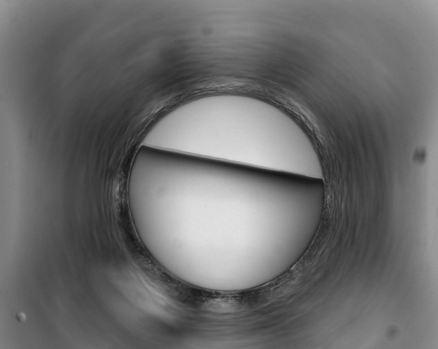 X0000100360119200806060832