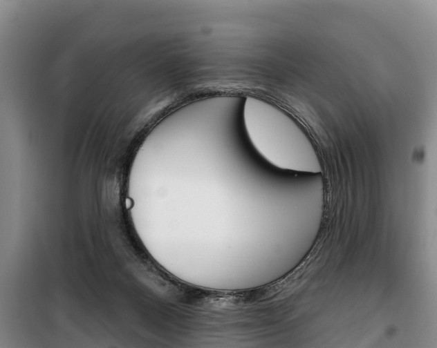 X0000100360120200806060832