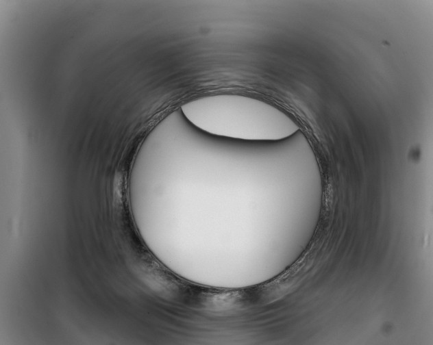 X0000100360122200806060831