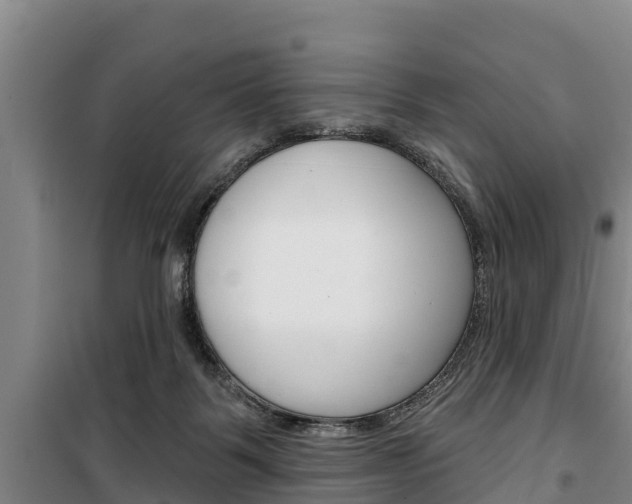 X0000100360123200806060831