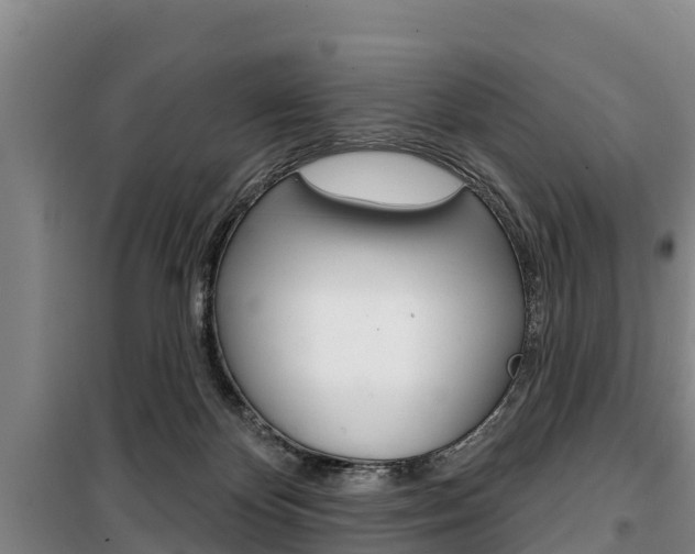 X0000100360124200806060831