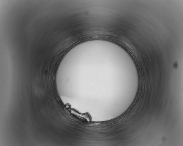 X0000100360125200806060831