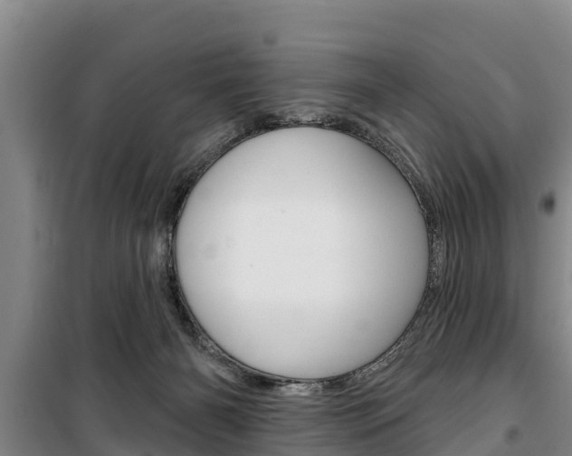 X0000100360126200806060831