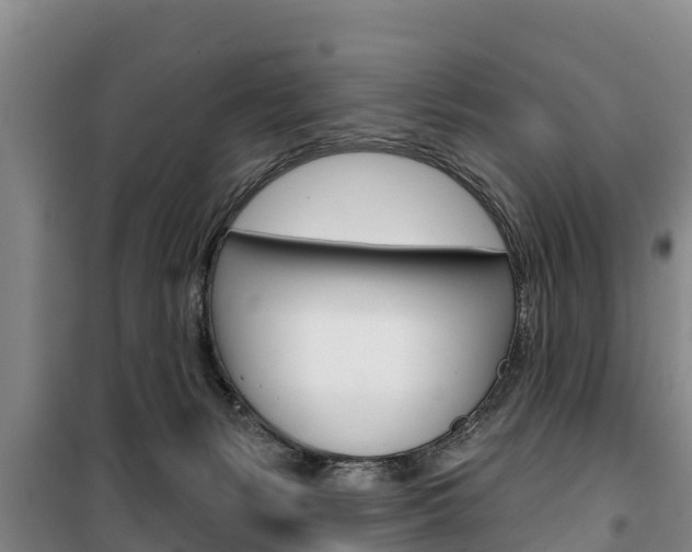 X0000100360127200806060831