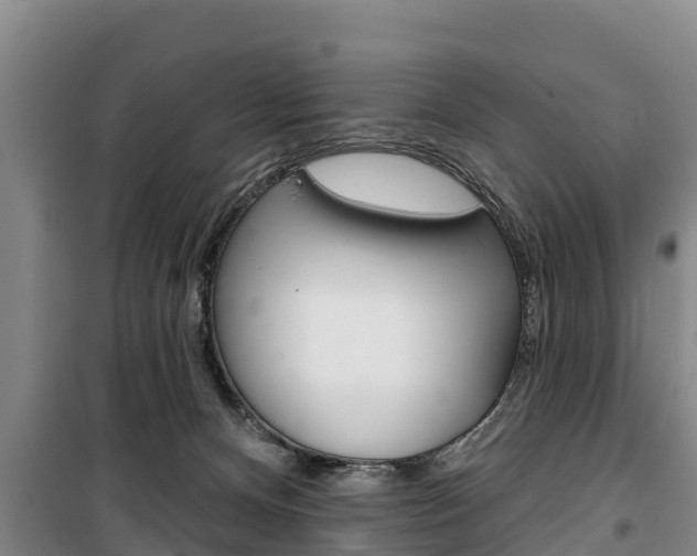X0000100360128200806060831