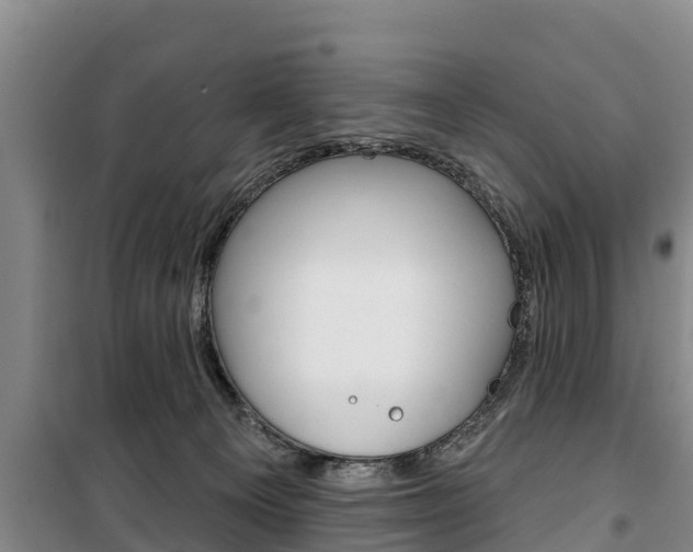 X0000100360129200806060831